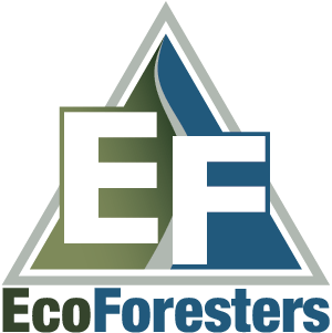 EcoForesters