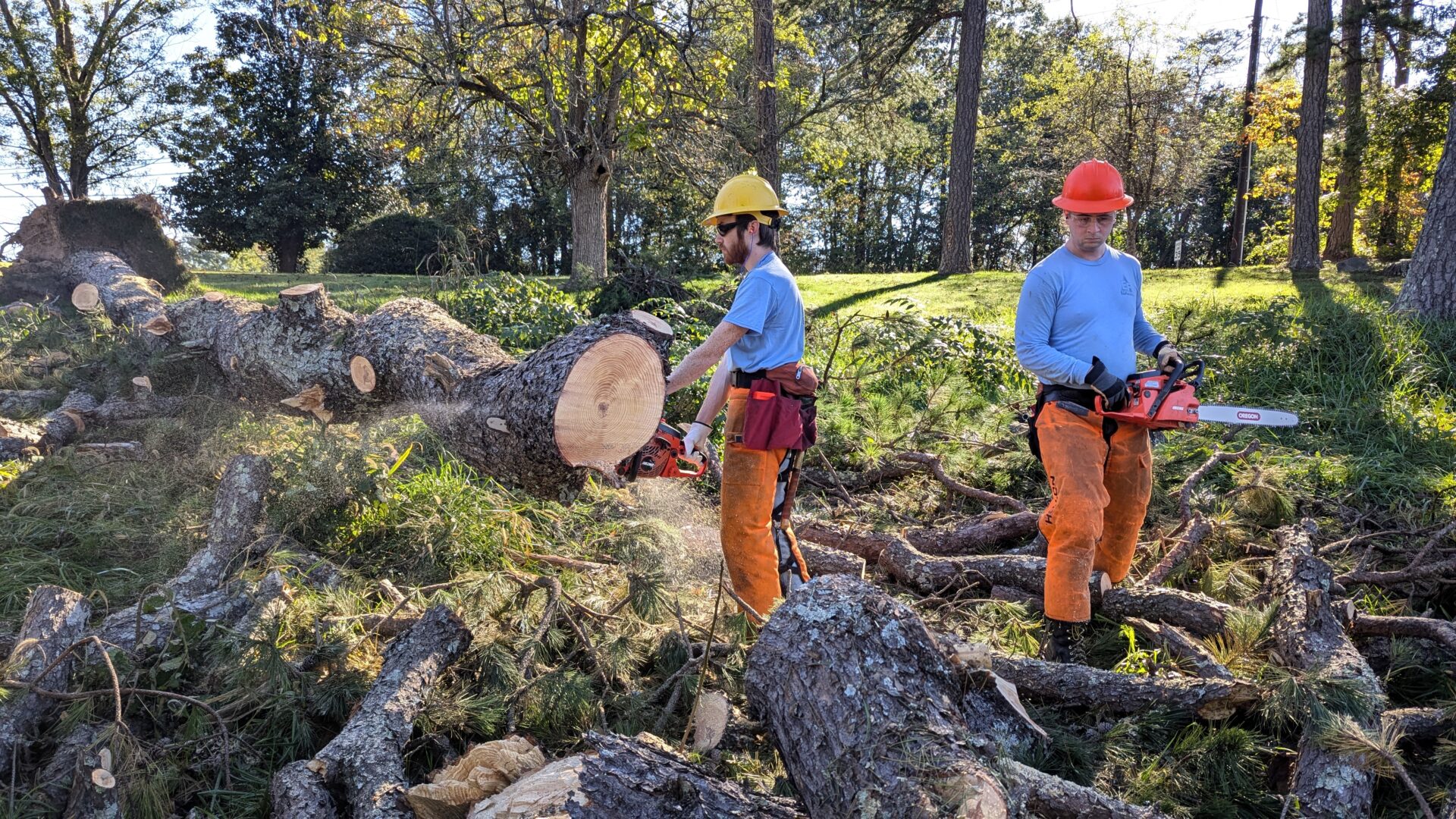 Hurricane Helene Ecoforesters