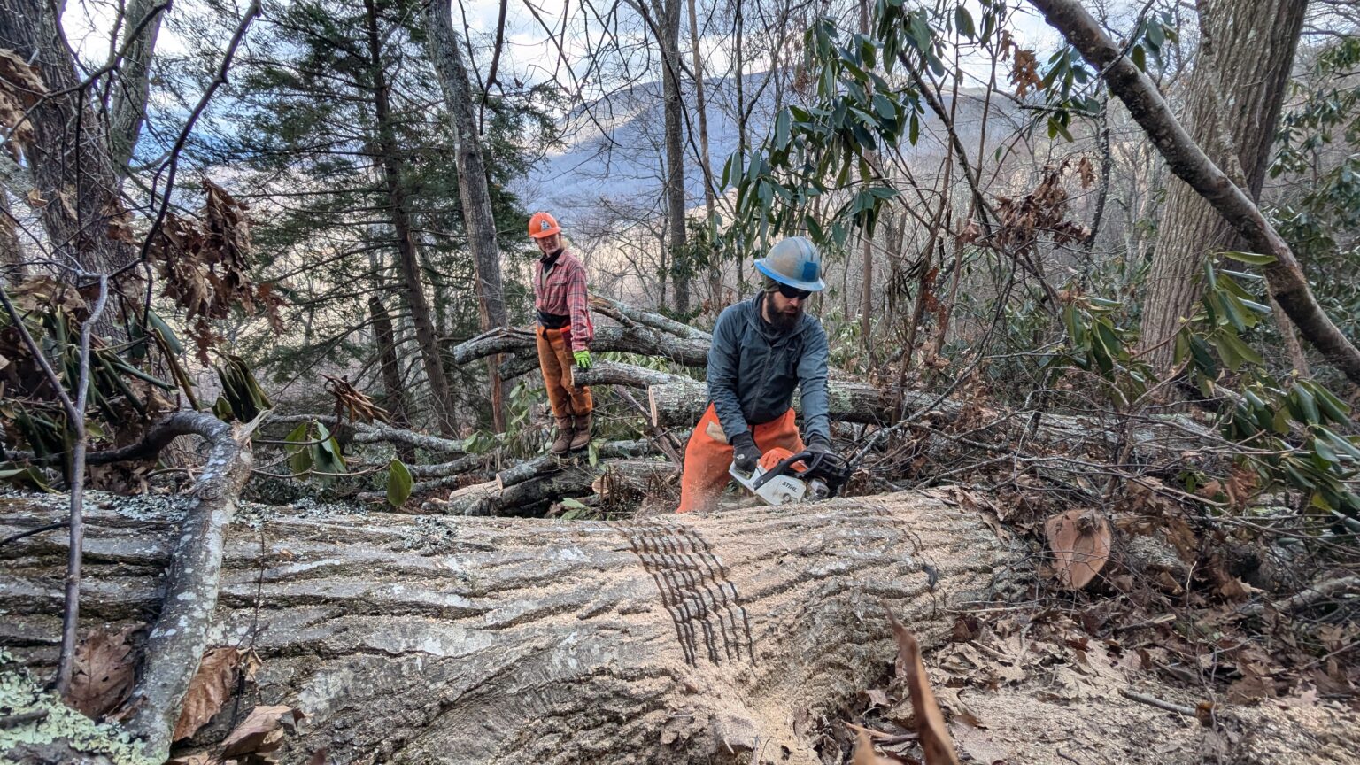 Hurricane Helene Ecoforesters