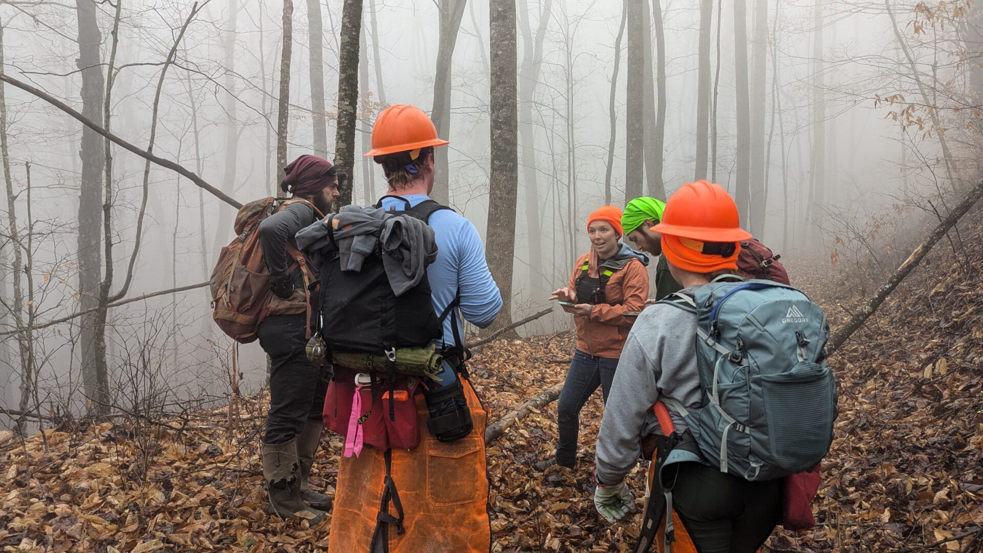 Hurricane Helene Ecoforesters
